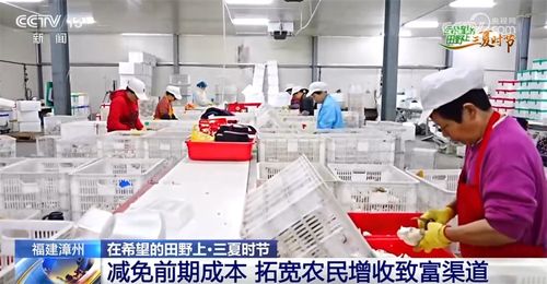 機械 科技 稻鴨共養 移動菇房 智慧 引擎激活鄉村振興新動能