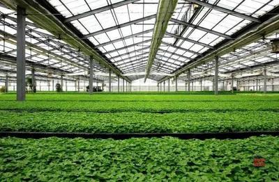 【三個(gè)努力建成】京津冀協(xié)同發(fā)展--魅力樂(lè)亭