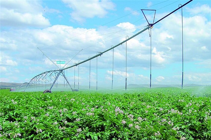 湖北農(nóng)業(yè)滴灌系統(tǒng)成本-武漢欣農(nóng)科技-湖北農(nóng)業(yè)滴灌系統(tǒng)產(chǎn)品圖片-天助