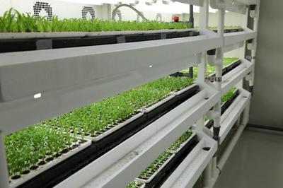 智能設備助力中國農業&ldquo;智慧&rdquo;轉型