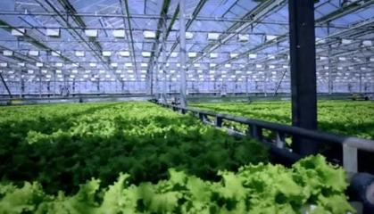 三農日報|政策:推動農民合作社辦公司;專家:農業科技利好農業品牌產業化;資本下鄉陷入"產業懸浮"困境;百果園:又啟動上市計劃