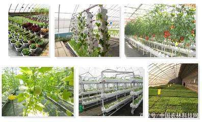 4大國際都市農業成功案例解析