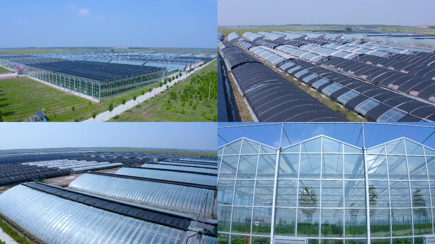 4K智慧農業大棚種植基地