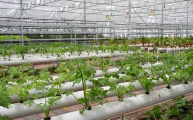 河南省信陽市光山縣鑫晟隆現代農業(yè)科技園項目