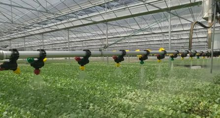 科技賦能助力蔬菜大縣&ldquo;加速跑&rdquo; ▏探尋湖北蔬菜黑科技