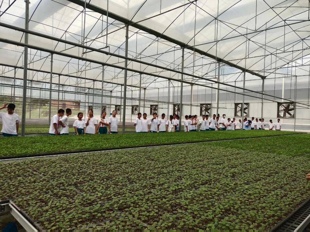 25親子游】當城市農學家,探秘無土栽培蔬菜工廠,感受農業科技之光!