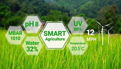 北京大學牽手濰坊 現代農業研究院為鳶都插上農業科技翅膀