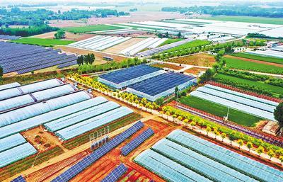 河北武邑 現代農業成助農增收“金鑰匙”