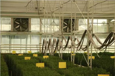 高精尖的農業之道--考察北京現代農業園區紀實