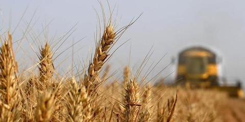 河南設(shè)立農(nóng)牧漁業(yè)豐收獎(jiǎng) 加速科技成果轉(zhuǎn)化，賦能農(nóng)業(yè)現(xiàn)代化